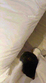 【柠柠】双S-精神小妹的脚下奴【双视角版】JS251021-29_1封面图