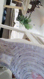 【琳园长】脏鞋白袜玩贱奴[上]JS251011-25封面图