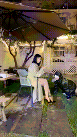 【苏御大人】白富美庭院虐杀人形犬【双视角版】bf57507_1封面图