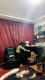 【冷颜】囚禁狗笼_五花大绑_强制加官窒息JS250118-14封面图