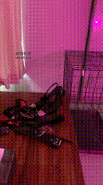 【丝雯】不听话就关狗笼里JS250213-22封面图