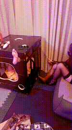 【婉心】双S-囚禁狗笼_鞭打_挠痒【双视角版】JS250301-40_2封面图