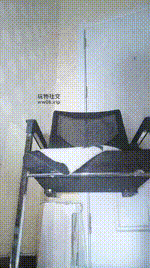 【绝美兔】平开来的靴底早教课250218-11封面图