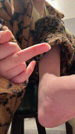 【凹凸曼】裸足纯享4连炸250226-4