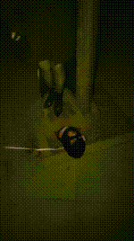 【沐颜】深夜户外遛狗踩踏处刑bf49145封面图