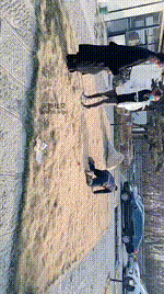 【汝野】户外遛狗爬行_清理脏鞋子【双视角版】JS241230-19_2封面图