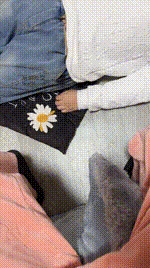 【艾斯】白袜脚蹂躏踩家奴JS241219-28封面图