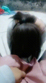 【伪娘和人妻】黑丝虐杀蓬头垢面的狗JS250122-7