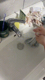 【沐沐大大】闺蜜犬伺候我就寝JS241212-30封面图