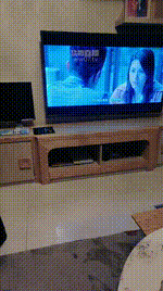 【严厉夫妻主】囚禁狗笼-人形犬伺候JS251122-23封面图