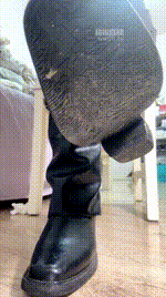 【咬猫】你妈全家暴毙死了251210-22_1封面图