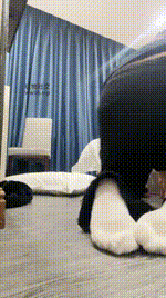 【沐沐大大】毛拖鞋配白袜玩虐家奴JS250114-28封面图