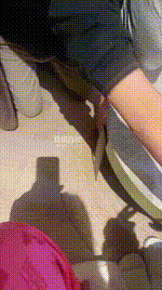 【橙子】双S-挑逗惩罚素人狗JS251110-45封面图