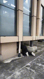 【咩祖】双S-户外遛狗犬化【双视角版】bf59715_1封面图