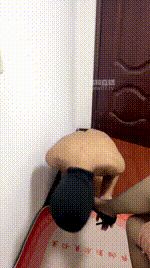 【情侣s】高跟黑丝踩绿帽骚奴JS251125-30封面图