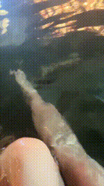 【苏老师】温泉汤池挑逗JS251208-10