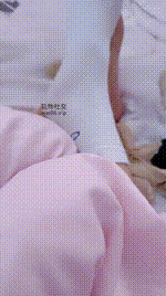 【小菜来了】脚250128-1封面图